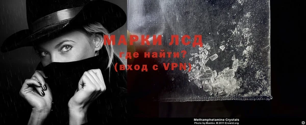 молекула духа Богородицк