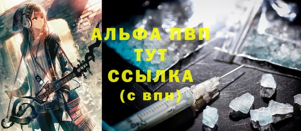 молекула духа Богородицк