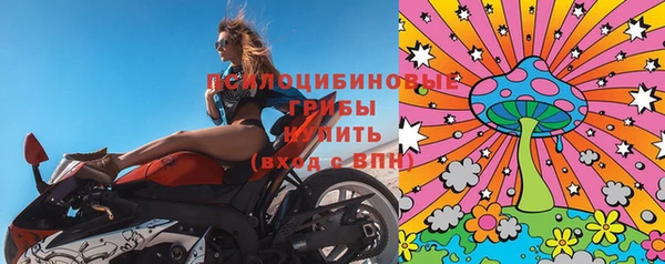 apvp Бородино