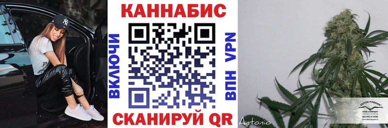 Шишки марихуана Amnesia Мирный
